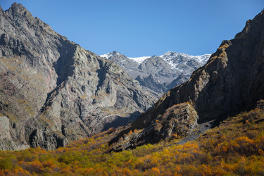 Similar image 21709792