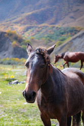 Similar image 21709827