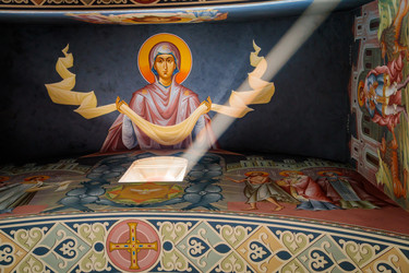 Similar image 21709836