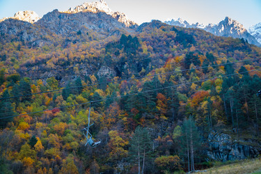 Similar image 21709845