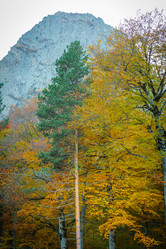 Similar image 21709848