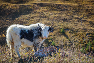 Similar image 21709864