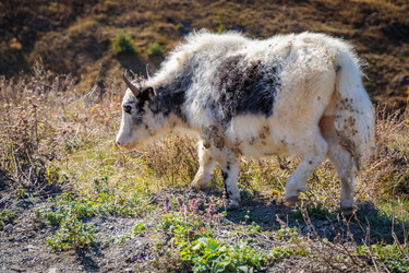 Similar image 21710069