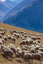 Similar image 21710070