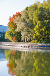 Similar image 21710082