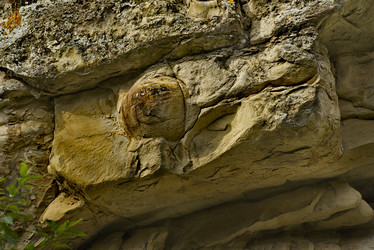 Similar image 21711076