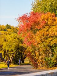 Similar image 21710790