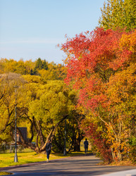 Similar image 21710791