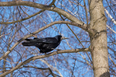 Similar image 21709960