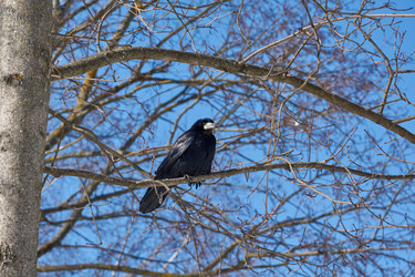 Similar image 21709962