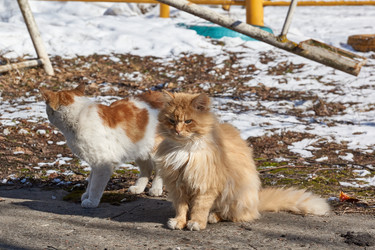 Similar image 21709963