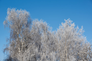 Similar image 21709965