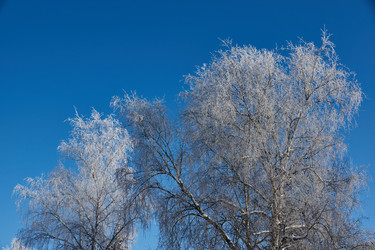 Similar image 21709966