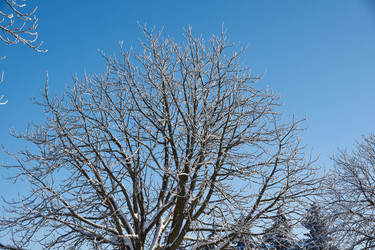 Similar image 21709969