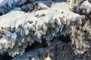 Similar image 21709970