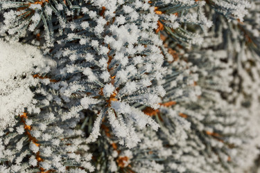 Similar image 21709971