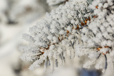 Similar image 21709972