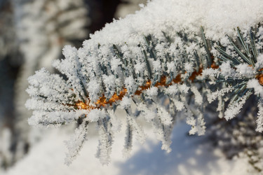 Similar image 21709974