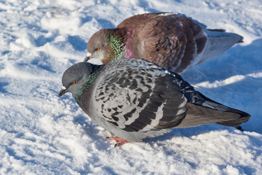 Similar image 21709976