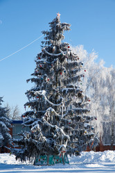 Similar image 21709978