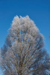 Similar image 21709979