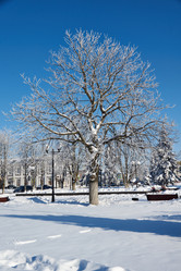 Similar image 21709980