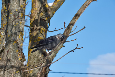 Similar image 21709988