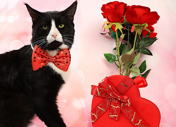 Similar image 21709992