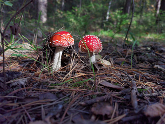 Similar image 21710154