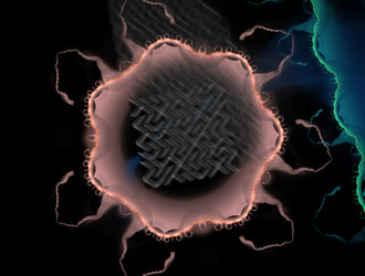 Similar image 21713756