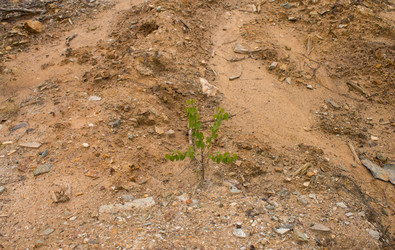 Similar image 21710163