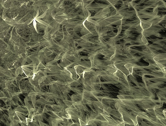 Similar image 21713368