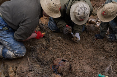 Similar image 21710023