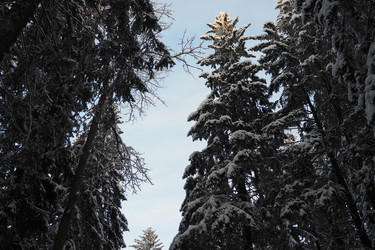 Similar image 21710916