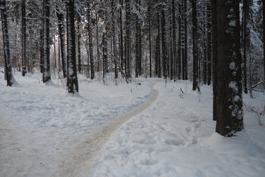 Similar image 21710919