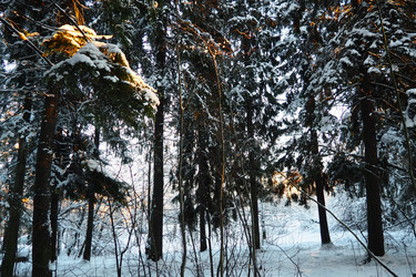 Similar image 21710920