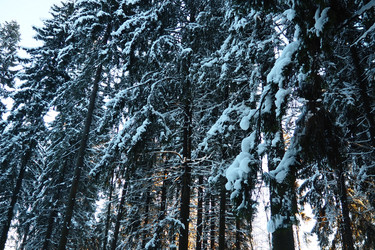 Similar image 21710921