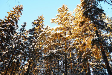 Similar image 21710924