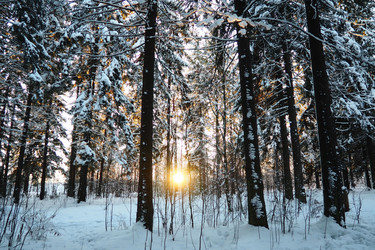 Similar image 21710925