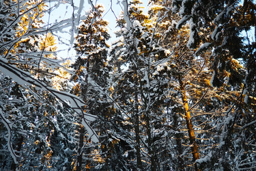 Similar image 21710926