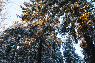 Similar image 21710927