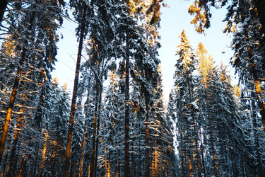 Similar image 21710928