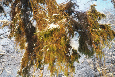 Similar image 21710929