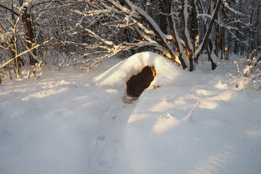 Similar image 21710930