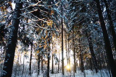 Similar image 21710931