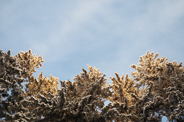 Similar image 21710933