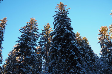 Similar image 21710934