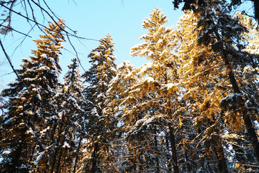 Similar image 21710936