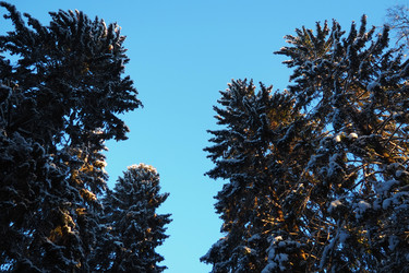 Similar image 21710938