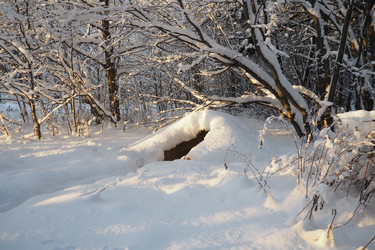 Similar image 21710939